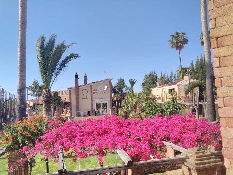 بيرا Villa Bora-Bora المظهر الخارجي الصورة